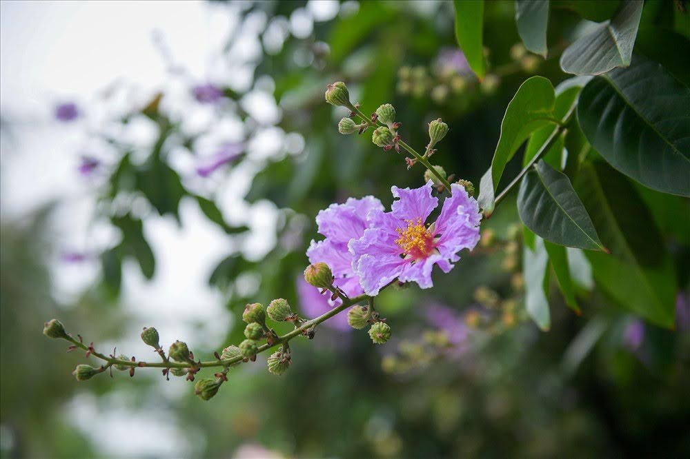 Summer 2017:Đi đâu, làm gì (Phần 7) TOP NHỮNG PHIM TRUYỀN HÌNH SIÊU ANH HÙNG ĐÁNG XEM NHẤT(P1)