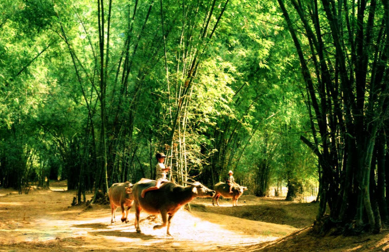 GỬI TÔI CỦA HIỆN TẠI